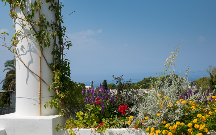 panorama di Casa Cristina